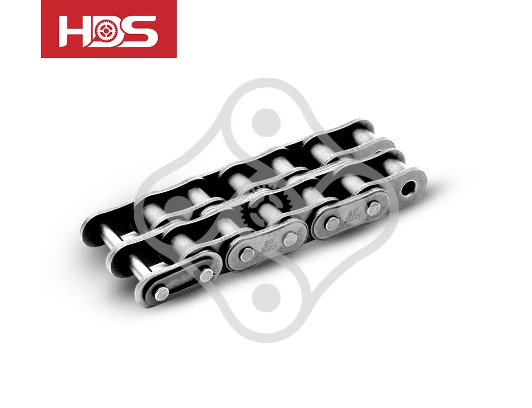 2.Roller Chains (A Series)-Double Strand